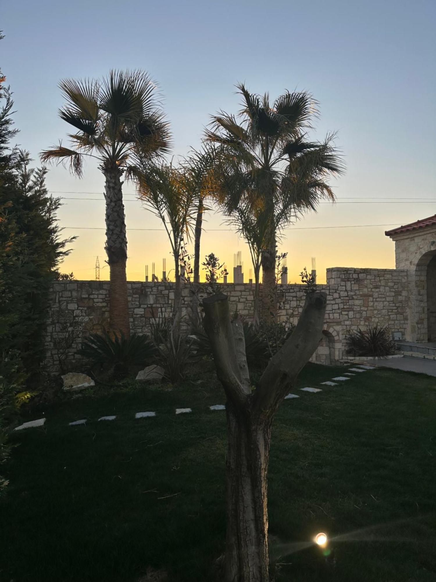 Green Villa With Private Pool Durres Luaran gambar